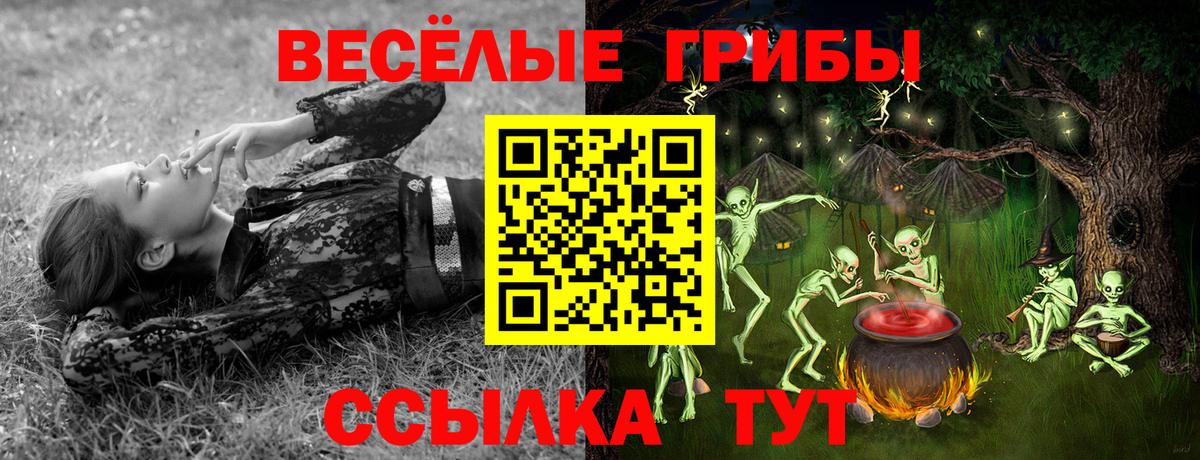 где можно купить   Псилоцибиновые грибы Psilocybe  Вход с VPN  Ярославль 
